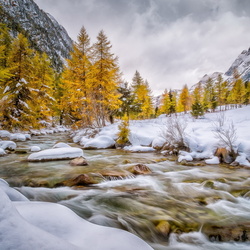 Пазл: Горная река