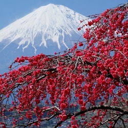 Пазл: У подножья Фудзи