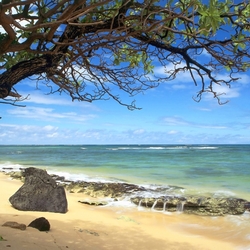 Пазл: Гавайи