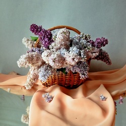 Пазл: Разные сорта