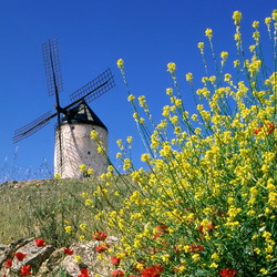 Пазл: Мельница