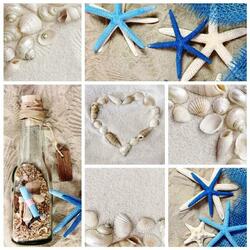 Пазл: Ракушки и морские звезды