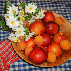 Пазл: Сладость нектаринов