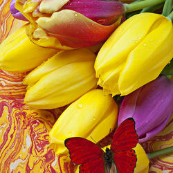 Пазл: Весенние тюльпаны