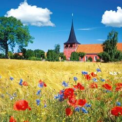 Пазл: Церковь в Борнхольме 