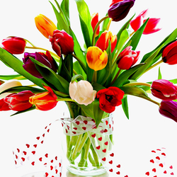 Пазл: Тюльпаны