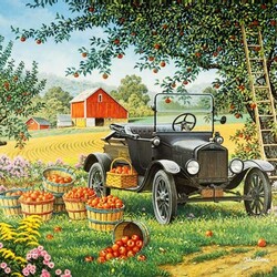 Пазл: Время яблок