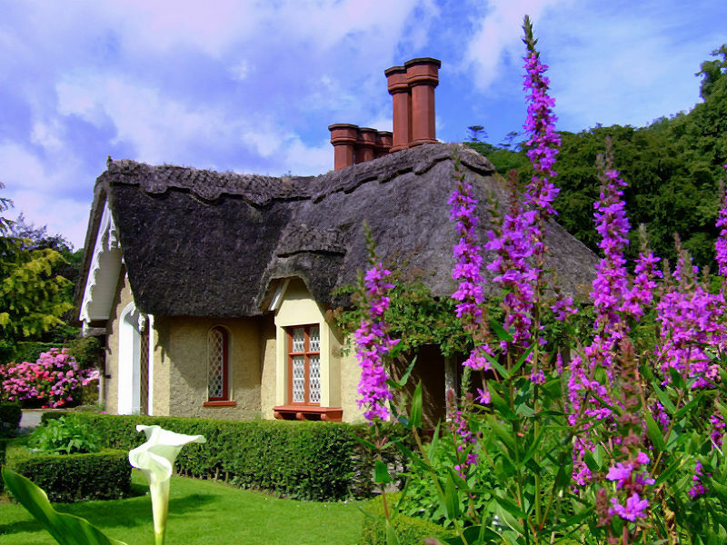 Thatched Cottage Rose Cottage