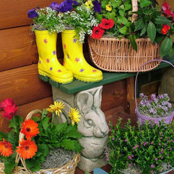 Пазл: Цветы у дома