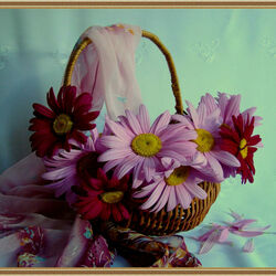 Пазл: Герберы