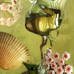 Пазл: Отражение в бокале