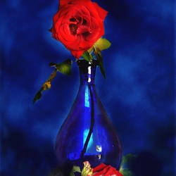 Пазл: Роза в синем