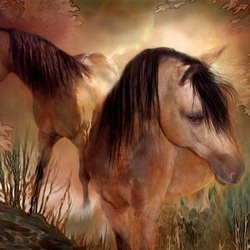 Пазл: Лошади