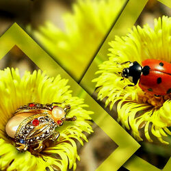 Пазл: Драгоценный жук