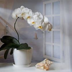 Пазл: Ожидание...