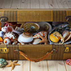 Пазл: Старый чемодан и дары моря