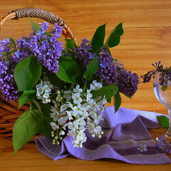 Пазл: Сирень