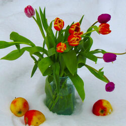 Пазл: Цветы на снегу