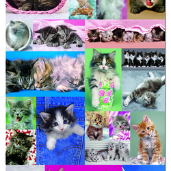 Пазл: Котята