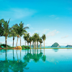 Пазл: Бассейн под пальмами