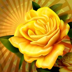 Пазл: Желтые розы