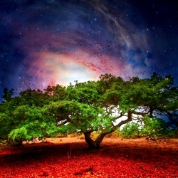 Пазл: Космическая связь