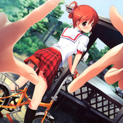 Пазл: Удачный кадр