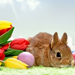 Пазл: Пасхальный