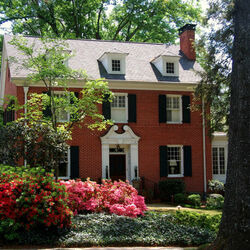 Пазл: Домик в лесу