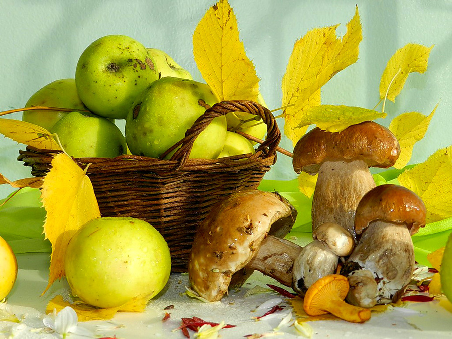 Лето грибами осень плодами. Осенние дары природы. Дары природы для детей. Натюрморт дары осени. Осенний урожай.