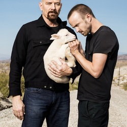 Пазл: Во все тяжкие