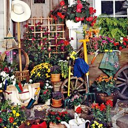 Пазл: Уголок цветника