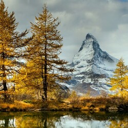 Пазл: Осень