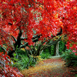 Пазл: Осенний 