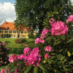 Пазл: Замок Регенштауф