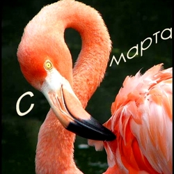 Пазл: С праздником