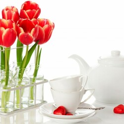 Пазл: Тюльпаны