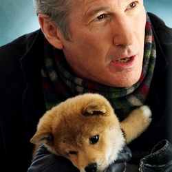 Пазл: Хатико