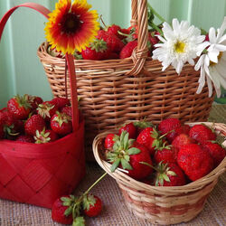 Пазл: Натюрморт