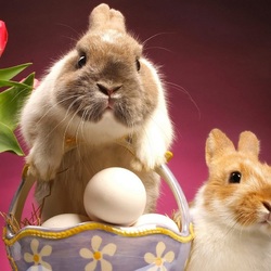 Пазл: Пасхальные кролики