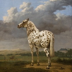 Пазлы на тему «Paulus Potter»