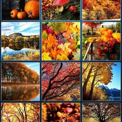 Пазл: Осень