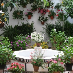 Пазл: Цветочные дворики Испании