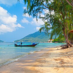 Пазл: Тихий берег