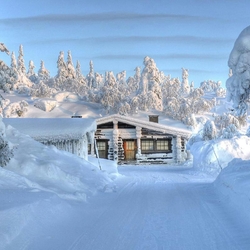 Пазл: Среди снегов