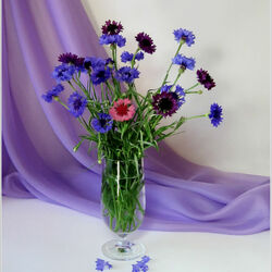 Пазл: Букеты