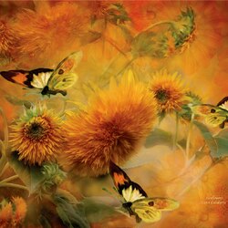 Пазл: Бабочки