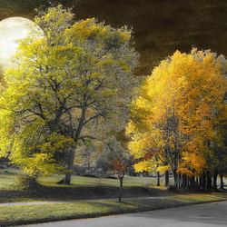 Пазл: Осенний парк