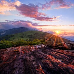 Пазл: Проблески солнца