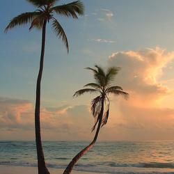 Пазл: Пустынный пляж